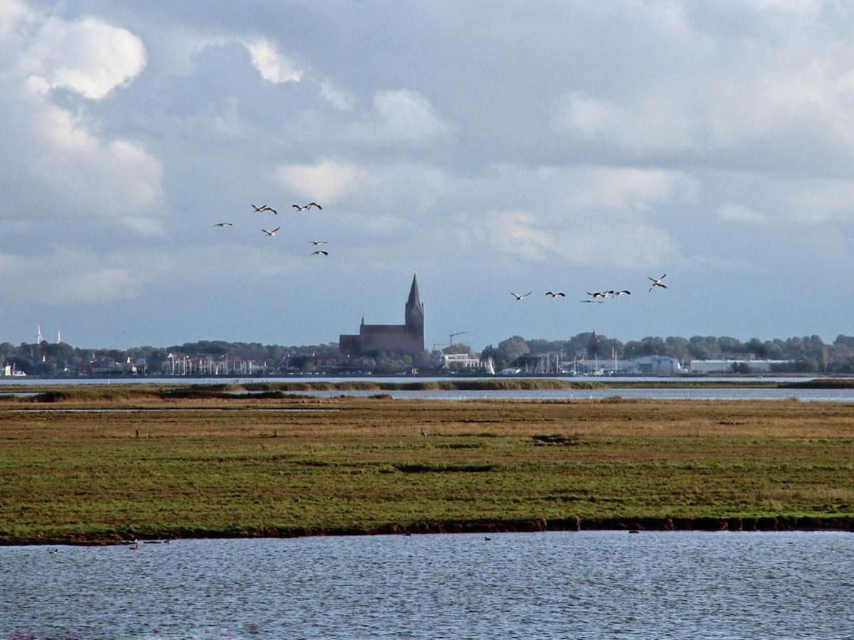 Glebbe 17 - Wohnung Suedblick Zingst Dış mekan fotoğraf