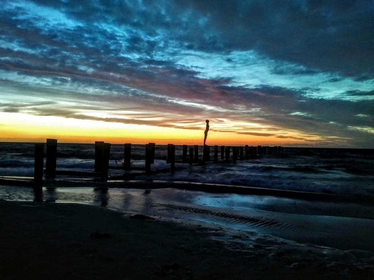 Glebbe 17 - Wohnung Suedblick Zingst Dış mekan fotoğraf