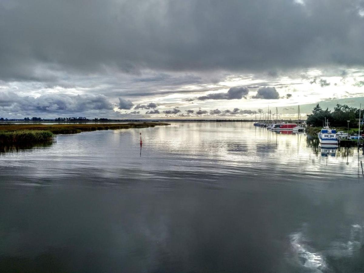 Glebbe 17 - Wohnung Suedblick Zingst Dış mekan fotoğraf